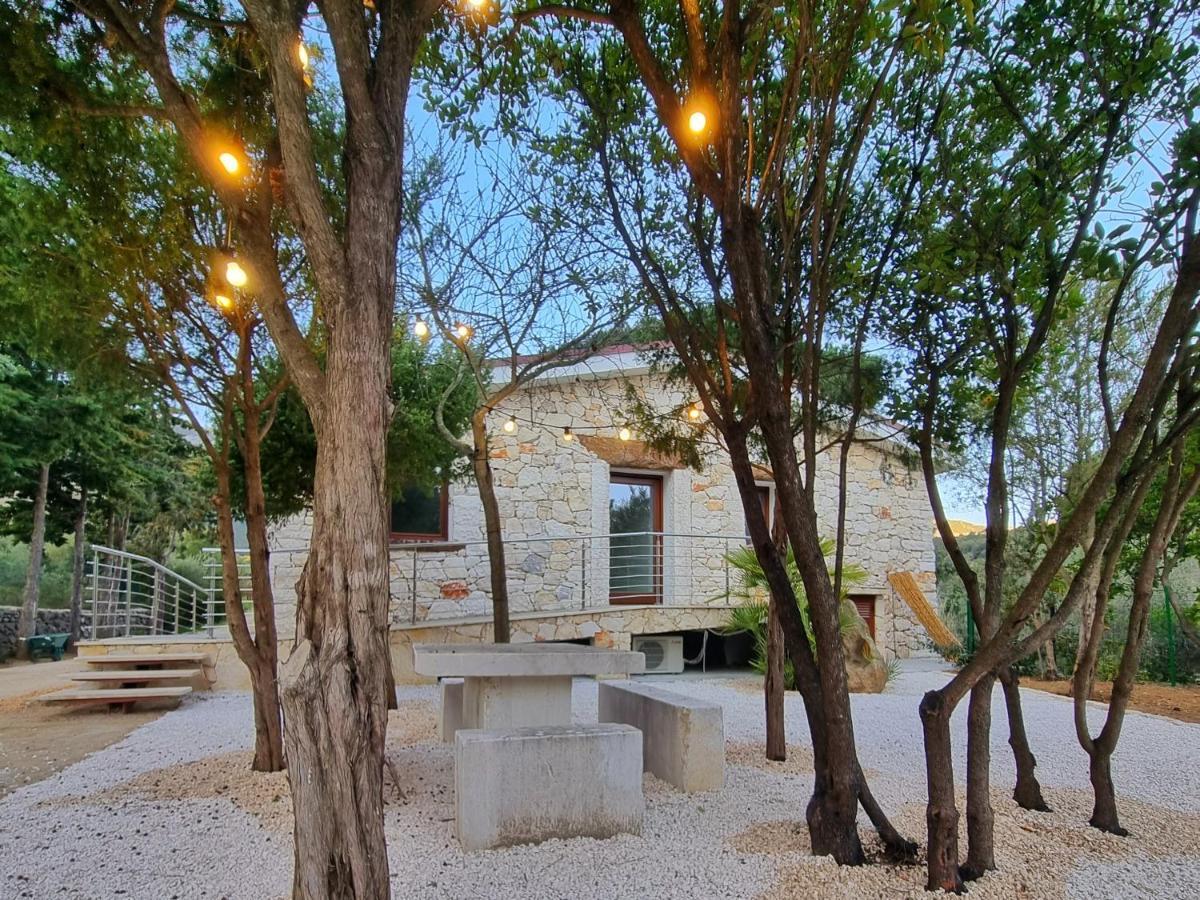 Villa Ginepro 多尔加利 外观 照片